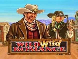 Wild Wild Romance game cover